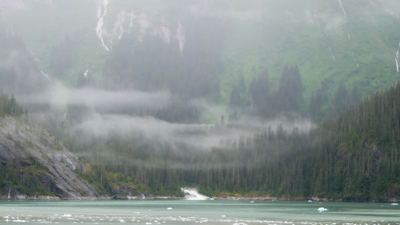 Heavy fog over the forest, Endicott Arm fjord, Alaska.