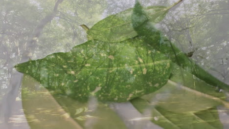 animation of green leaves blending with forest, creating natural harmony effect