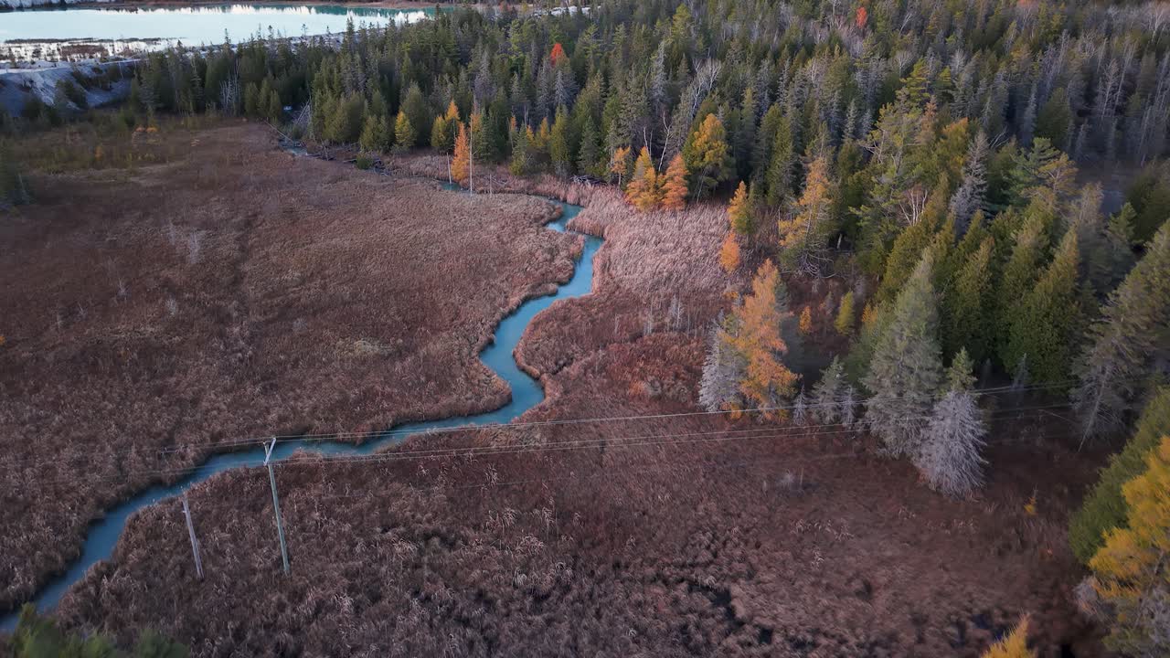 Aerial view of a winding stream cutting through a dense autumn forest wetland in the Upper Peninsula of Michigan