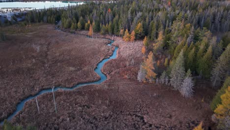 aerial view of a winding stream cutting through a dense autumn forest wetland in the upper peninsula of michigan