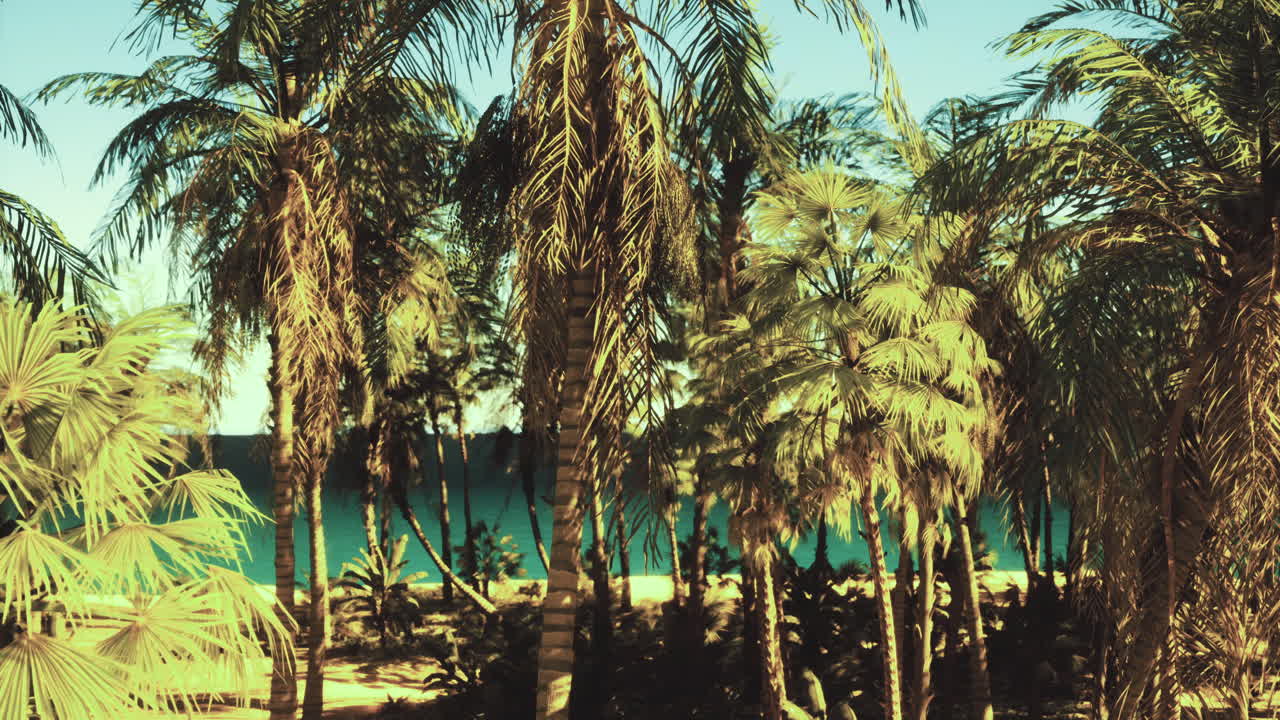 Palmiers tropicaux luxuriants surplombant une plage turquoise sereine en plein jour