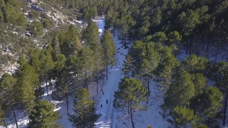 aerial view of two people walking and hiking on a snowed road in the woods