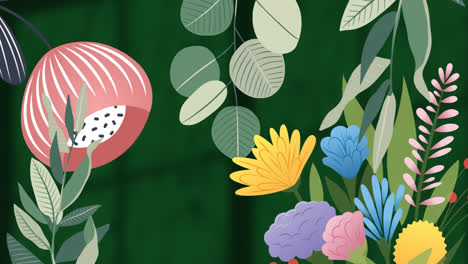 animation of flowers over leaves and window shadow on green background