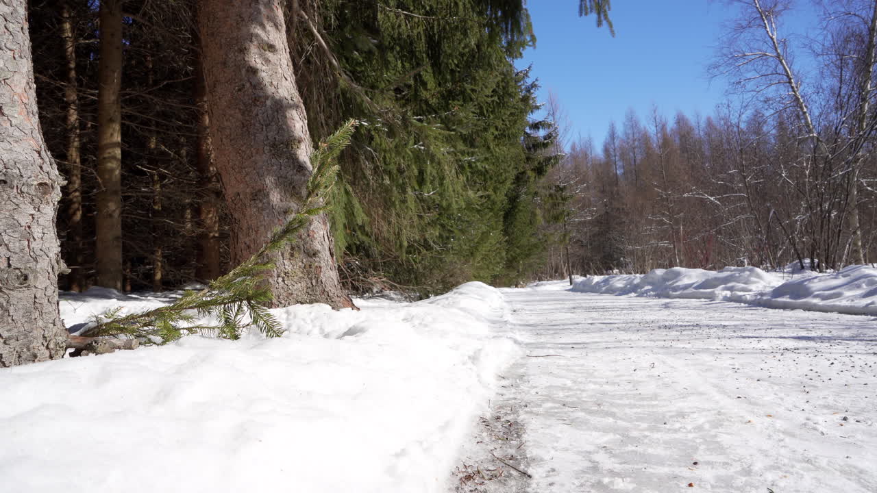 트레일 옆 자연 공원에서 팬 샷