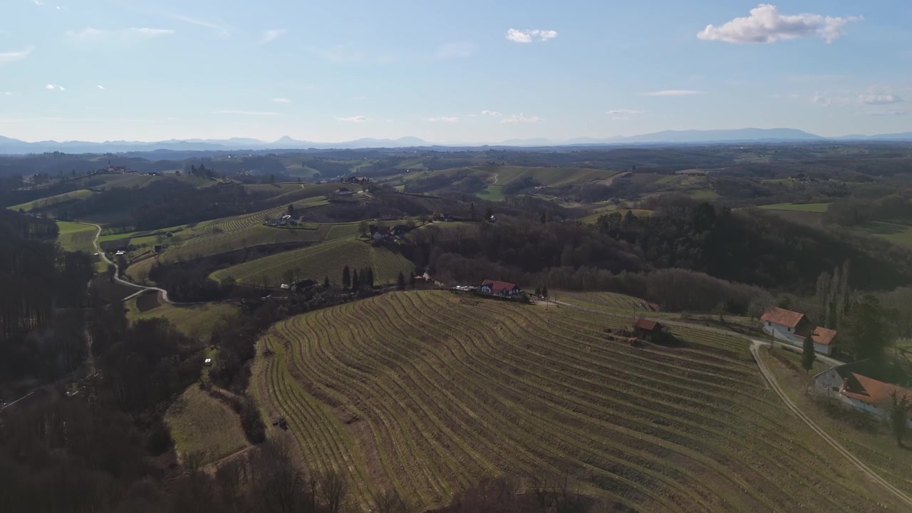 Jeruzalem, regione vinicola della Slovenia, presenta vigneti terrazzati, dolci colline verdi e tradizionali case coloniche in un paesaggio rurale, ripresa in una vista aerea panoramica con drone in una soleggiata giornata invernale.