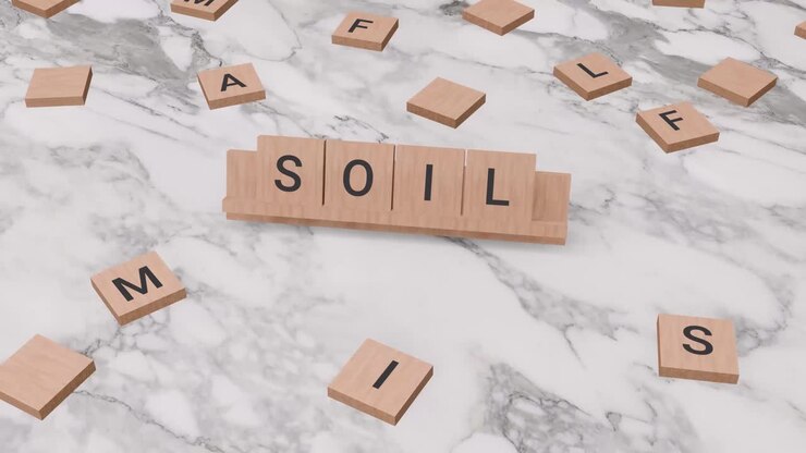 Soil word on scrabble