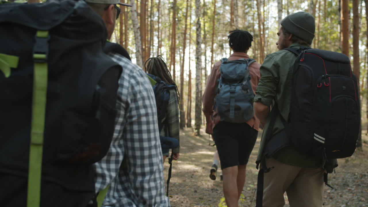 Friends Hiking in the Forest