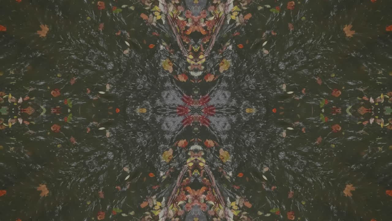 caleidoscopio de vegetación usando imágenes de bosque de wissahickon creek, philadelphia, #59