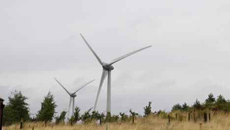 wind turbines rotating in a rural landscape