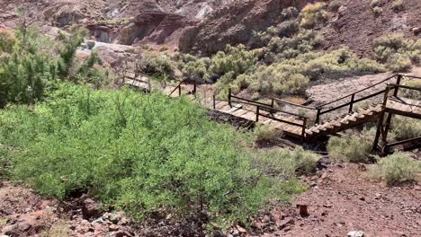 puente de madera entre la naturaleza en las afueras de una ciudad abandonada