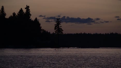 Golden-hour,-silhouette-of-pine-trees-and-glistening-water-during-sunset,-orange-glow,-reflections