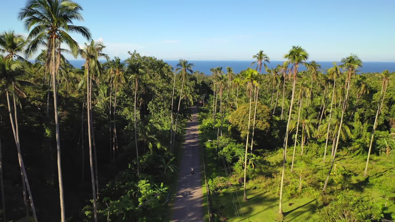 turista montando un scooter en la isla tropical camiguin filipinas, antena delantera