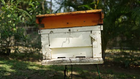 beehive in a natural outdoor setting