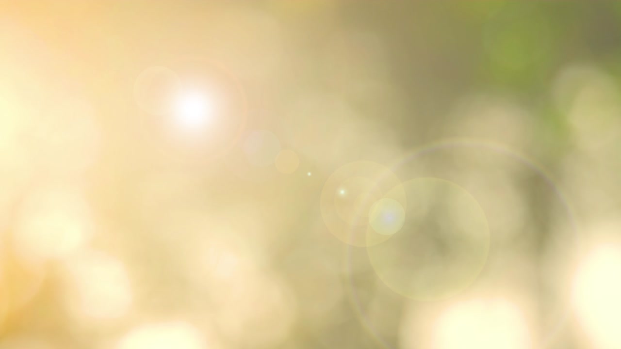 초록색 배경, 추상적인 흐릿한 잎자루, 밝은 빛