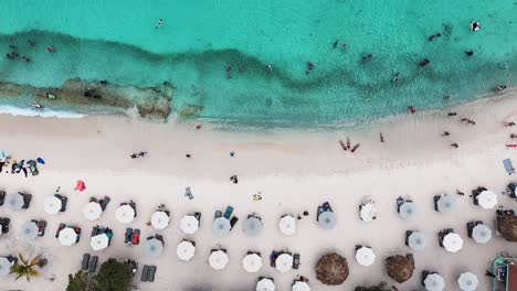 the drone is flying topdown above a white beach with parasols and people swimming in the aqua blue ocean in curacao aerial footage 4k