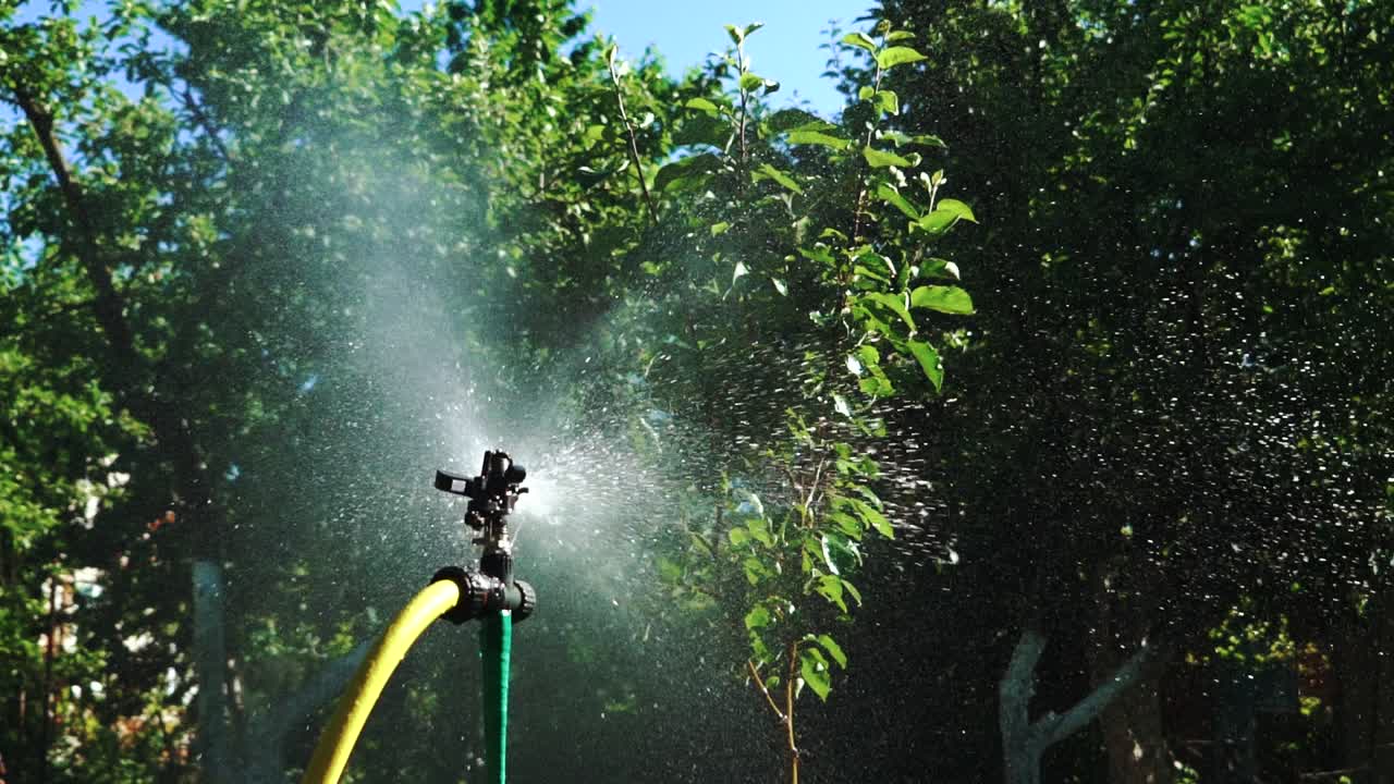 Attrezzatura per l'irrigazione. Sistema di irrigazione automatico per piante. Movimento rallentato.