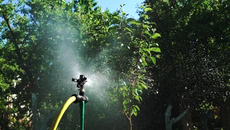 Irrigation equipment. Automatic watering system for plants. Slow motion.
