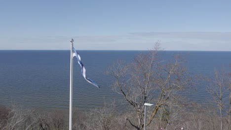 flag of estonia waving in front of baltic sea