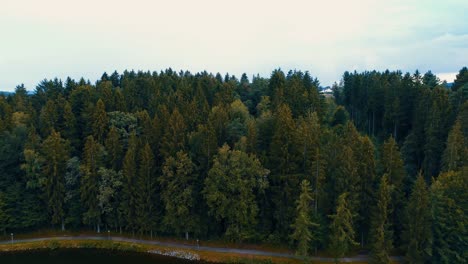 Un-Dron-Vuela-Sobre-El-Bosque-Del-Lago-Y-La-Vista-Aérea-Del-Cielo-Azul