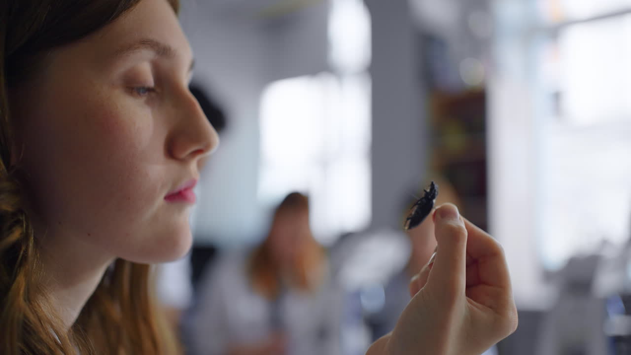 una mujer con una bata de laboratorio sostiene un insecto bajo un microscopio para un examen más cercano