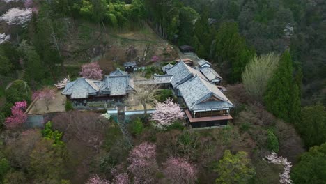 aerial tops down japanese temple in cherry blossom spring, yoshimine-dera