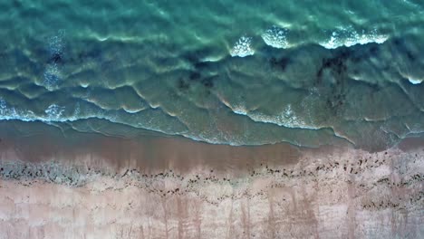 Vista-Aérea-De-Pájaro-De-Las-Olas-Del-Océano-Chocando-Contra-La-Arena-En-La-Playa-De-Pozos-Cerca-De-Joao-Pessoa,-Brasil-En-Un-Cálido-Día-De-Verano