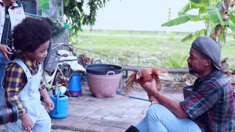 father and son raising chickens on farm