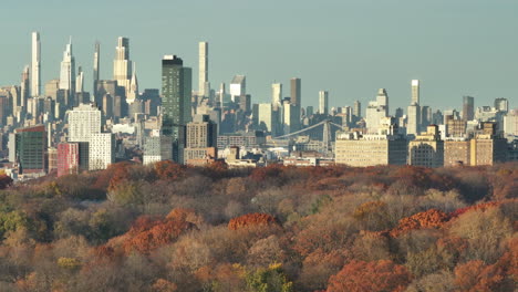 aerial view of midtown manhattan on an autumn day. shot with fall foliage in the foreground.