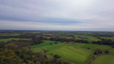 the edge of a forest bordering a plowed field in germany. magic aerial view flight panorama overview drone