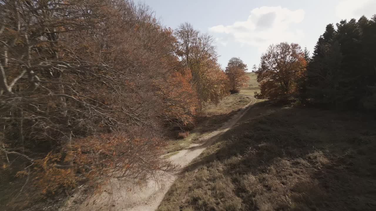 una grabación de un avión no tripulado sobre el hermoso bosque de haya de canfaito con colores de otoño