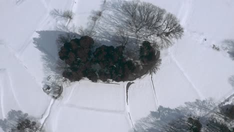 A-high-angle-shot-from-drone-captures-the-beauty-of-the-snowfield-in-the-countryside,-revealing-the-delicate-balance-between-the-houses,-the-idyllic-woods,-and-the-vast-expanse-of-winter-wilderness