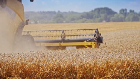 combine harvester cutting wheat making dust. agricultural equipment collecting ripe wheat on the field. close-up.
