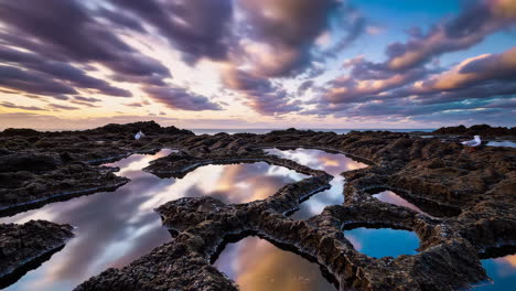 sunrise over rocky coastline with tide pools and gulls