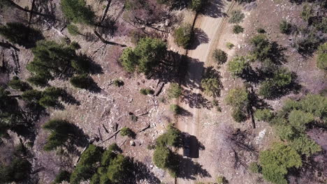 dark suv truck drives around a curve in a dirt mountain fire road through a forest with dead pine trees