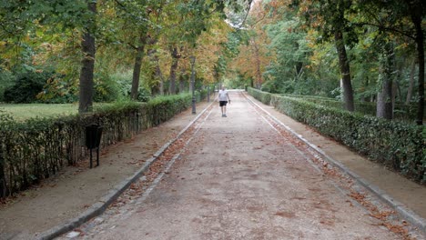 senior male walking along path in autumn surrounded by green and orange foliage in park. health and minfulness habits on retirement for longevity.