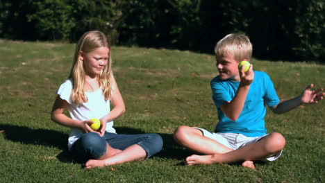 siblings sat in a park playing with tennis balls