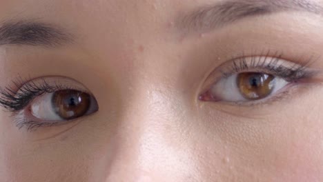 extreme close up of a beautiful woman's eyes