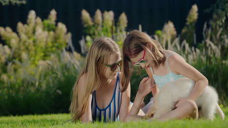 children play with a puppy in the backyard of the house. sitting on the green lawn