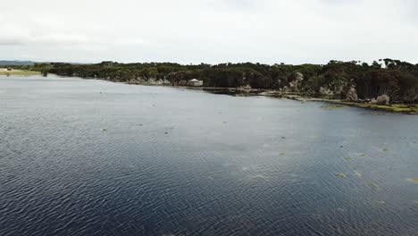 Antena-De-Drones-Sobre-El-Lago-Y-La-Reserva-Natural-En-Un-Día-Nublado