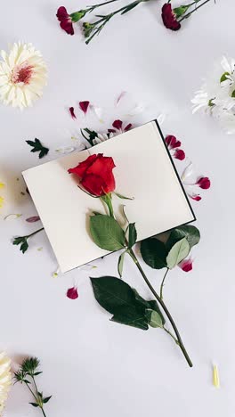 red rose on an open notebook with flowers