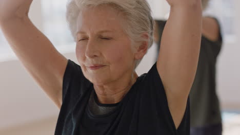 retrato, clase de yoga, hermosa, anciana, ejercicio, meditación saludable, practicar, oración, postura, disfrutar, grupo, aptitud física, entrenamiento, en, estudio