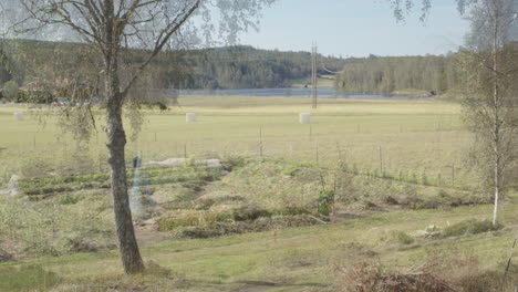 vegetable patch in country long duration transition from winter to summer, zoom