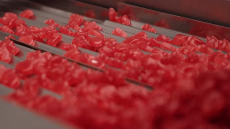 red gummy vitamin supplement manufacturing