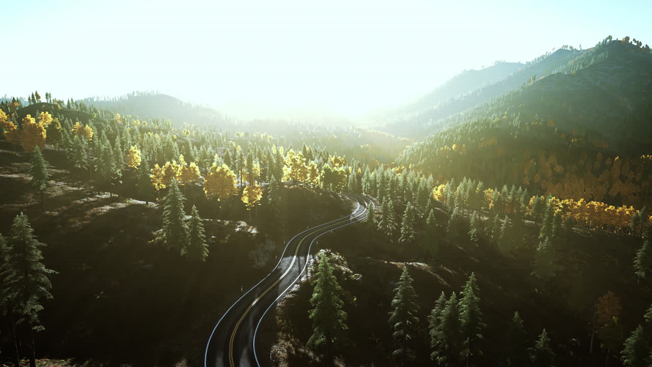 un camino sinuoso a través de un bosque de niebla en las montañas