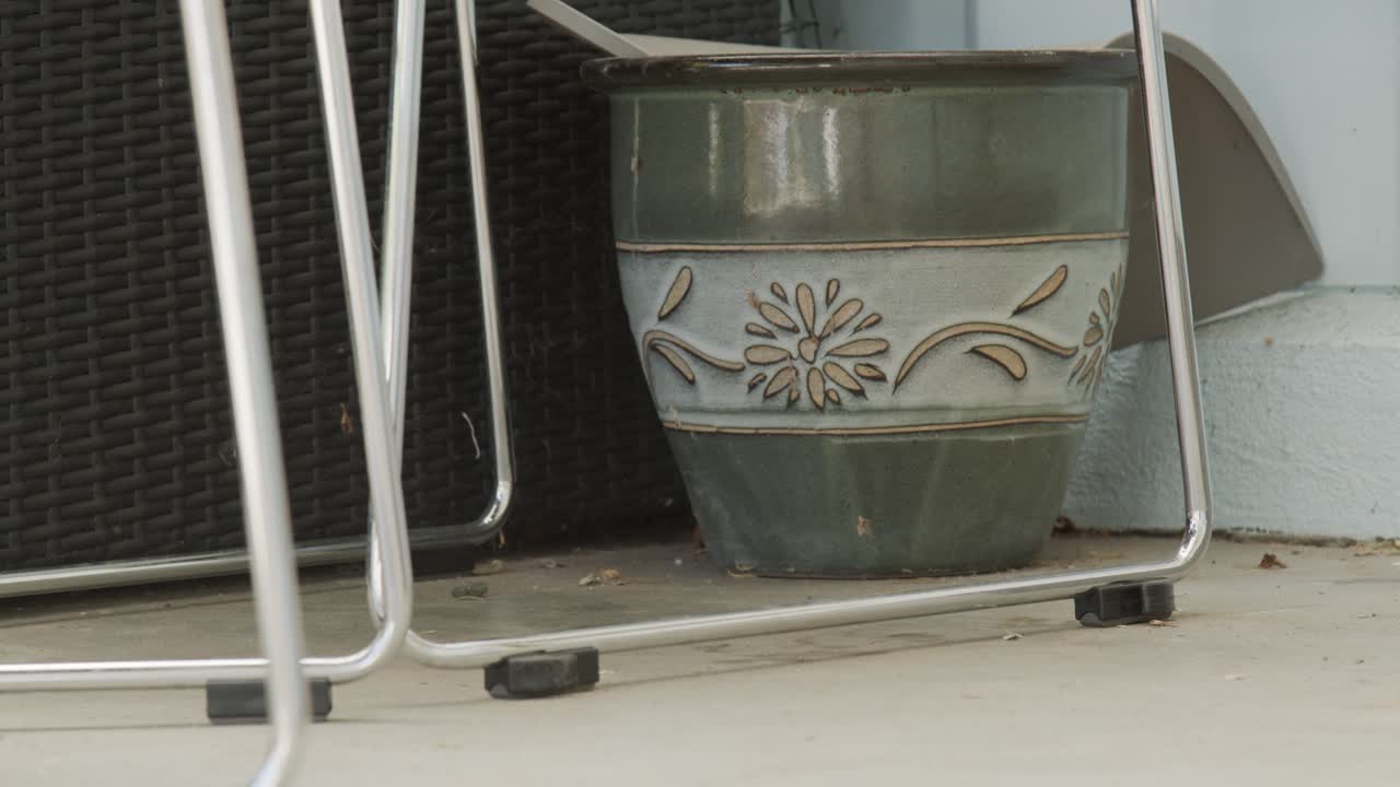 Gorgeous Cocker Spaniel relaxing under a chair on a patio