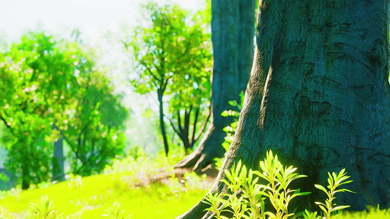 живописный вид на парк с зеленым травяным полем в городе