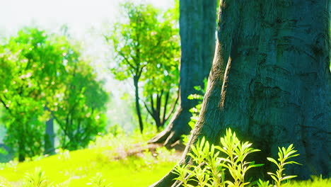 scenic view of the park with green grass field in city