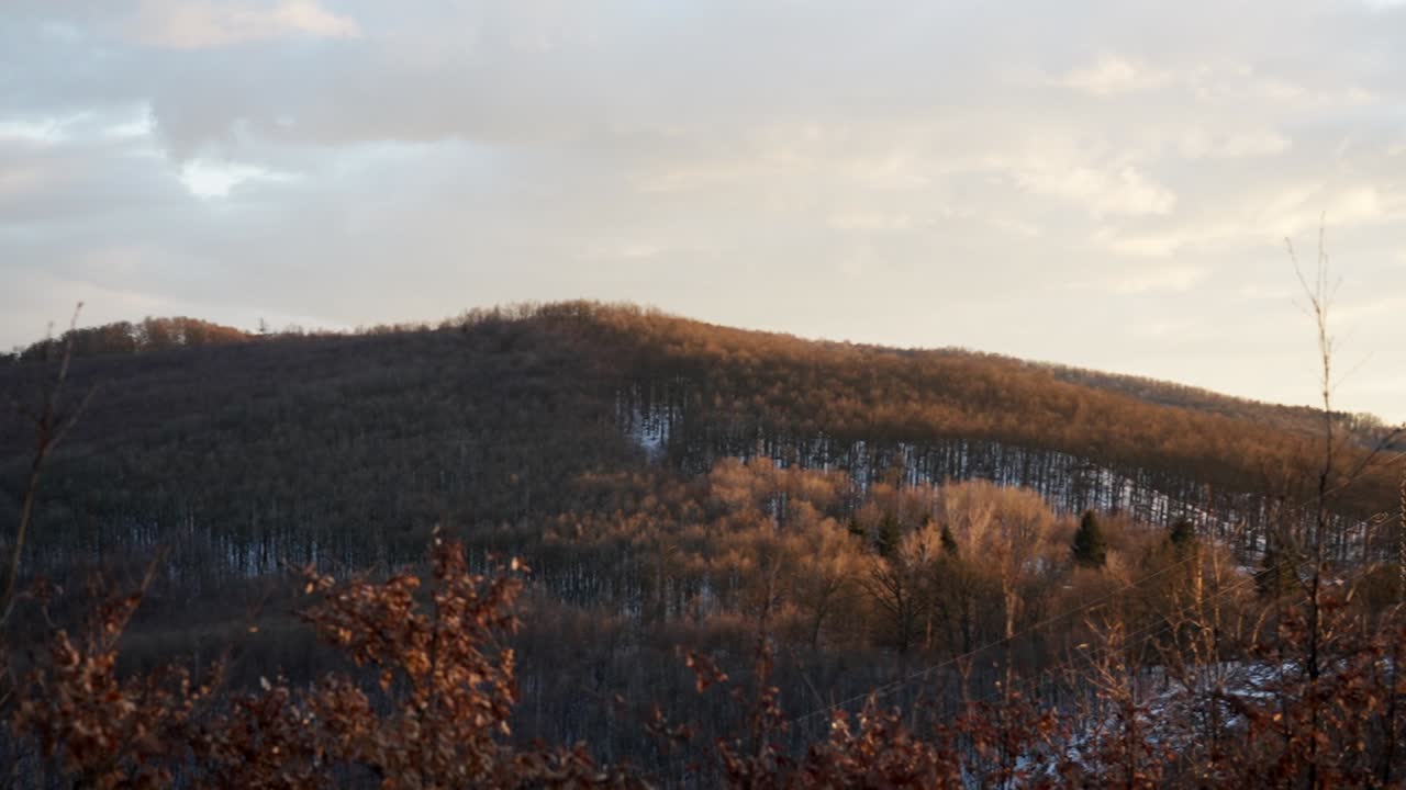 Rolling hills covered with snow and trees under a soft winter sunset