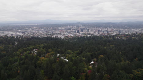 árboles coloridos en el parque washington con vistas a portland, oregon