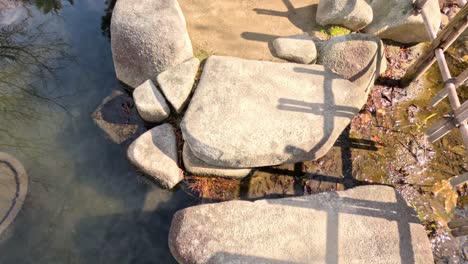 a serene koi pond with stepping stones pathway